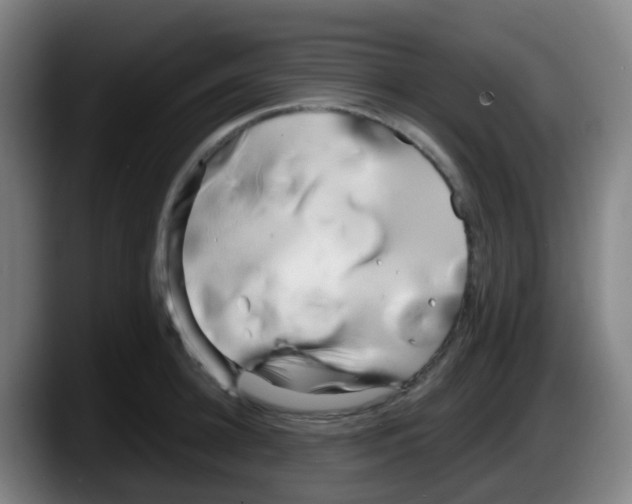 X0000087610948200705251939