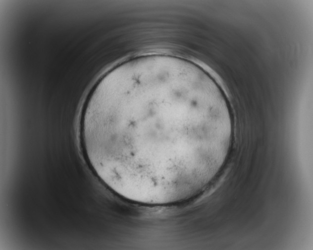 X0000087610949200705251940