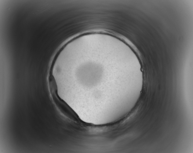 X0000087610951200705251940