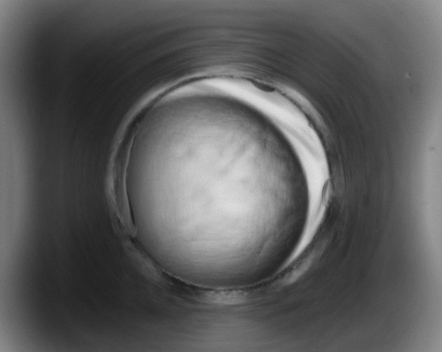 X0000087610952200705251940