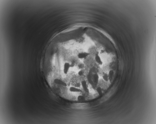 X0000087610953200705251940