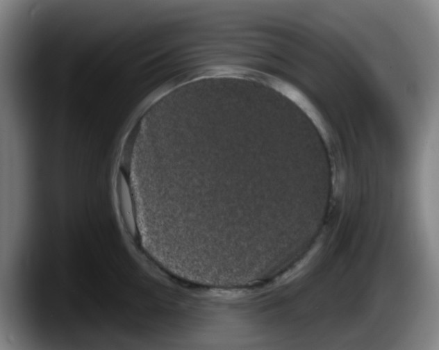 X0000087610954200705251940