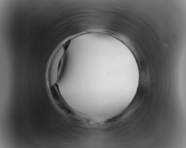 X0000087610955200705251940