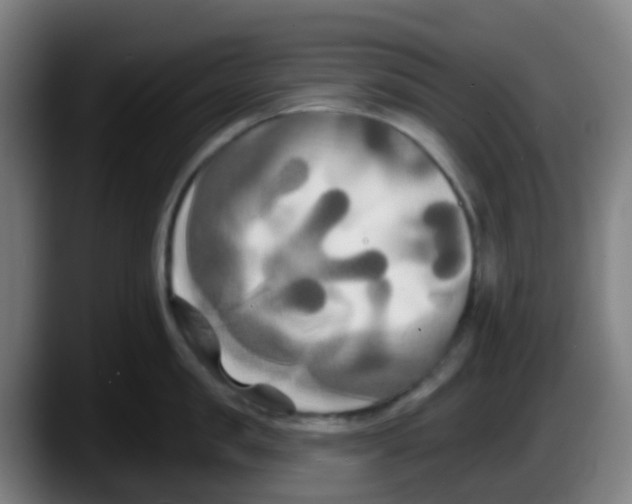 X0000087610957200705251940