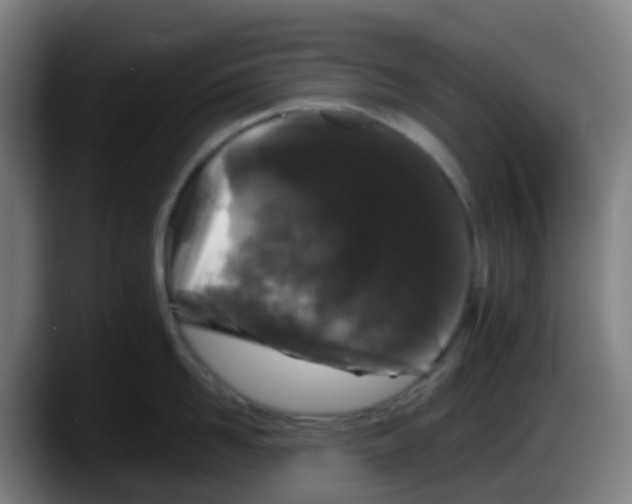 X0000087610958200705251940