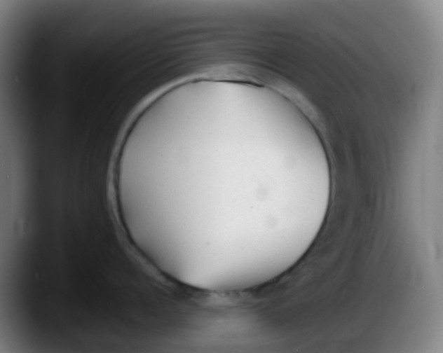 X0000087610960200705251940