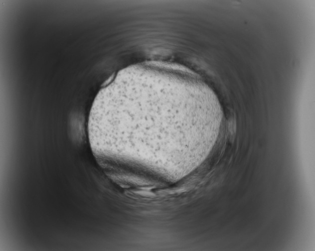 X0000087610963200705251939