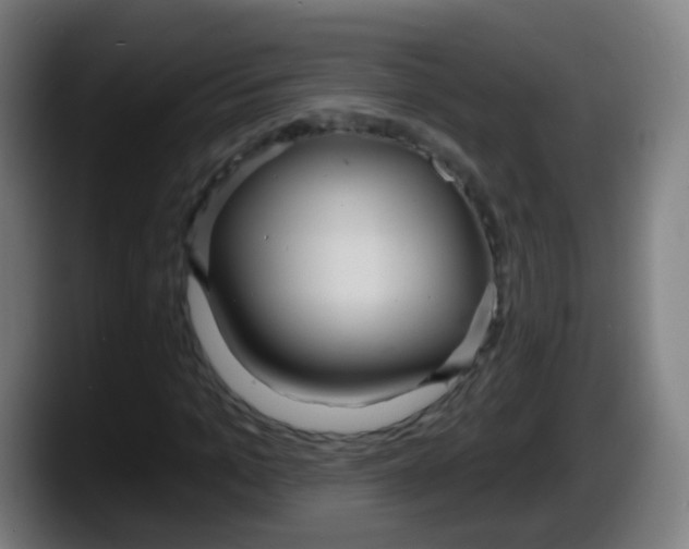 X0000087610965200705251939