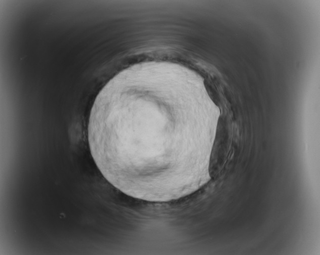 X0000087610966200705251939