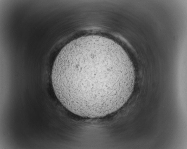 X0000087610967200705251939