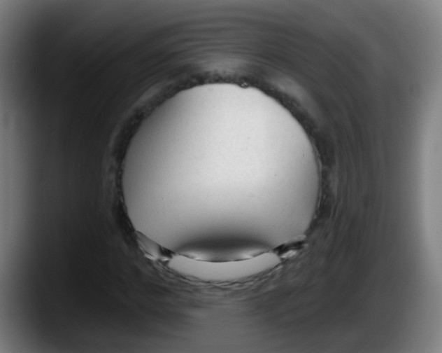 X0000087610968200705251939