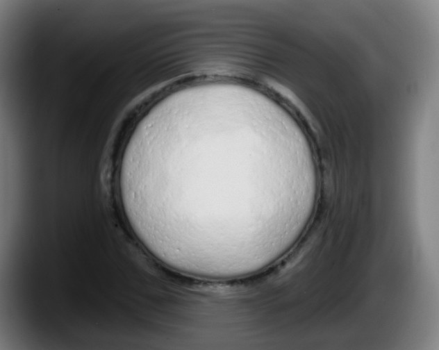 X0000087610971200705251939