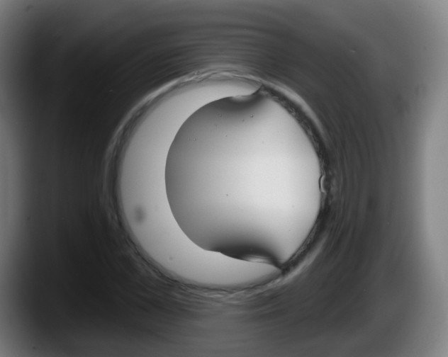 X0000087610973200705251939