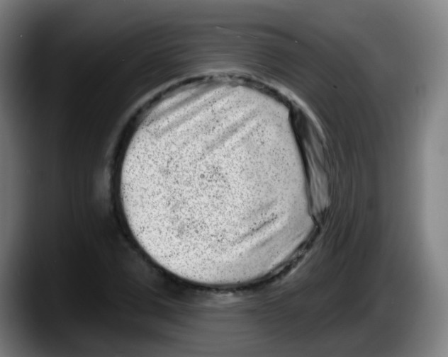 X0000087610975200705251939