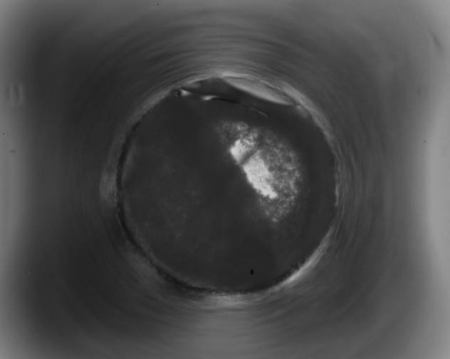 X0000087610977200705251939