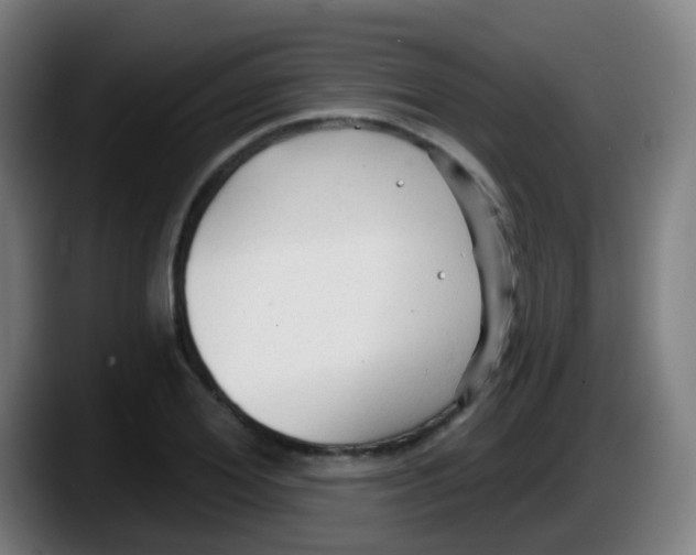 X0000087610980200705251939