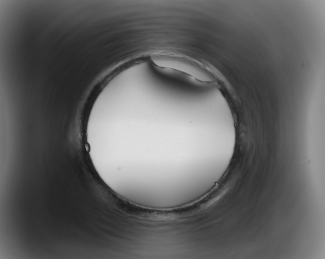 X0000087610981200705251939