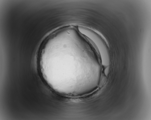 X0000087610983200705251939