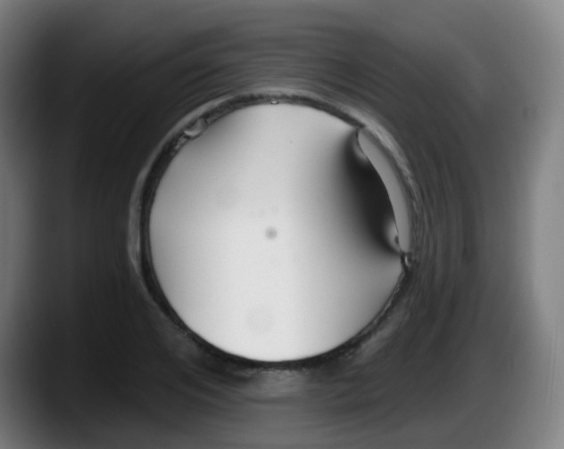 X0000087610984200705251939