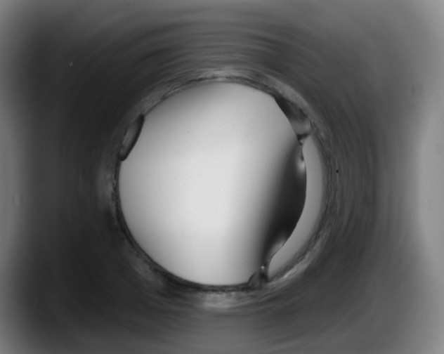 X0000087610985200705251939