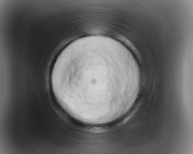 X0000087610986200705251939