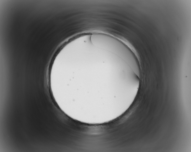 X0000087610988200705251939