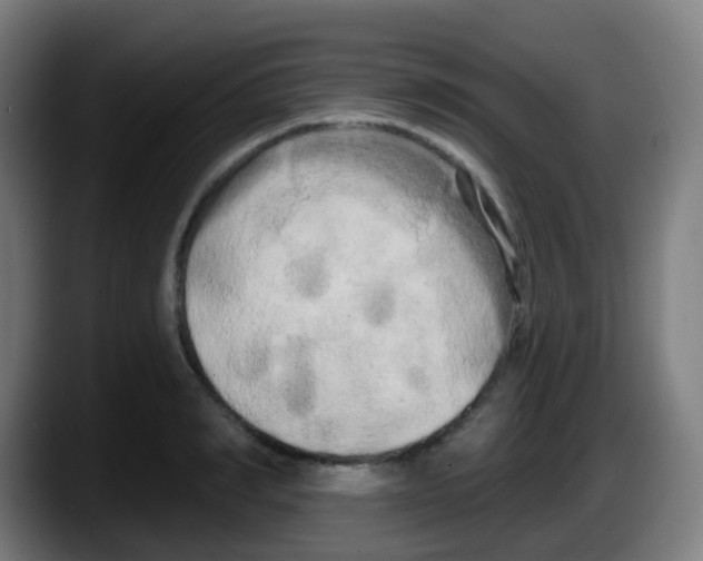 X0000087610990200705251939