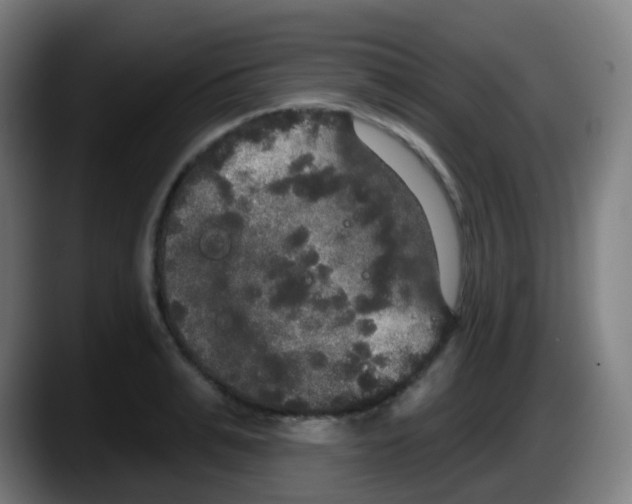 X0000087610991200705251939