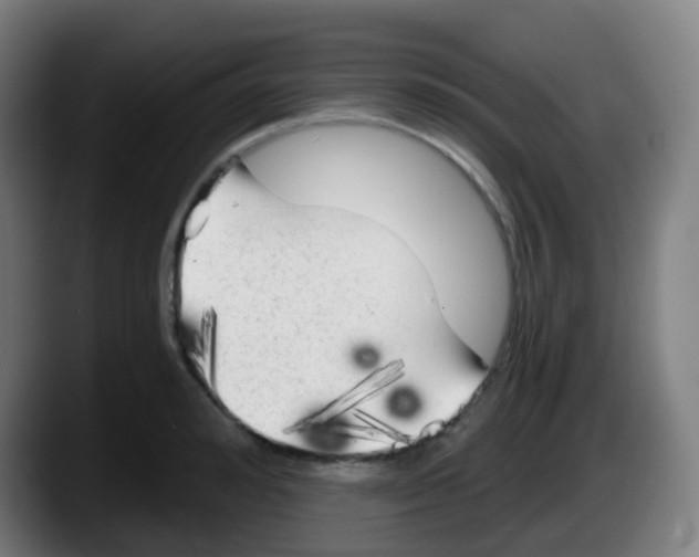 X0000087610992200705251939
