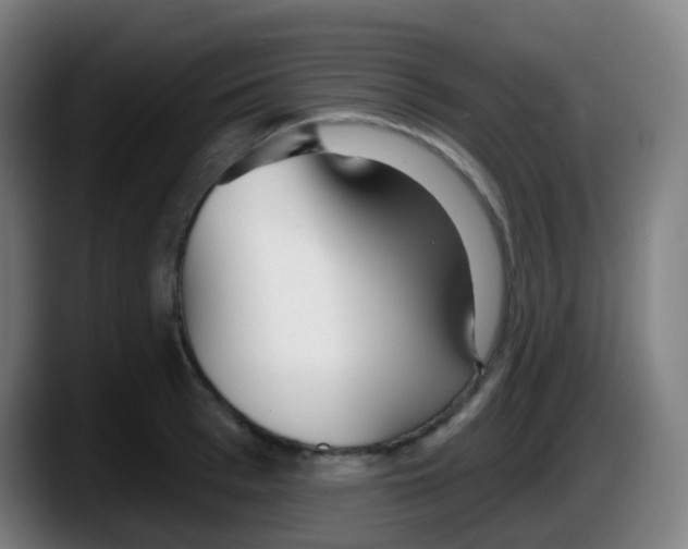 X0000087610993200705251939