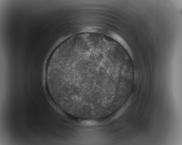 X0000087610994200705251939