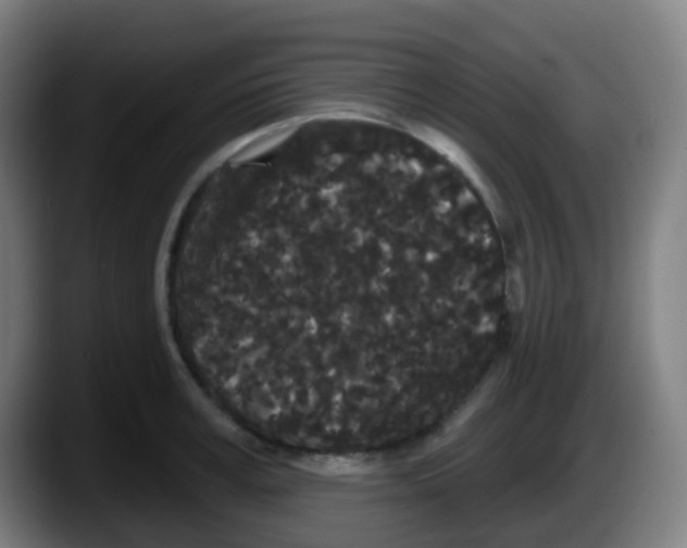 X0000087610995200705251939