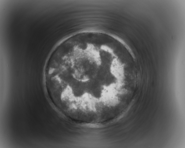 X0000087610998200705251939