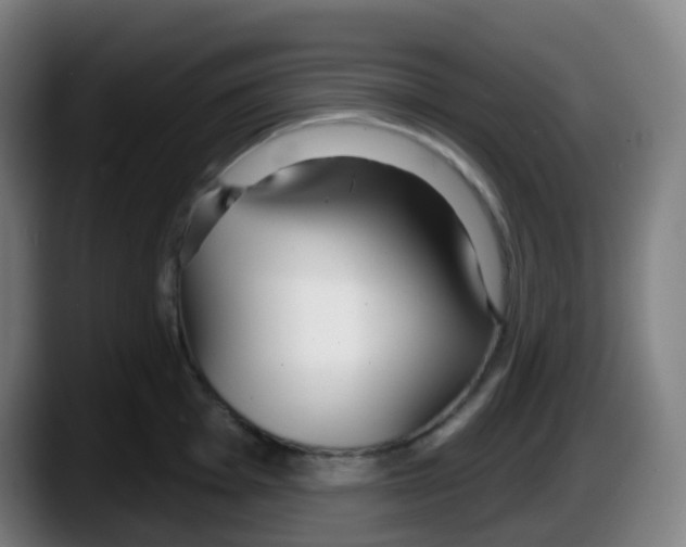 X0000087611001200705251939