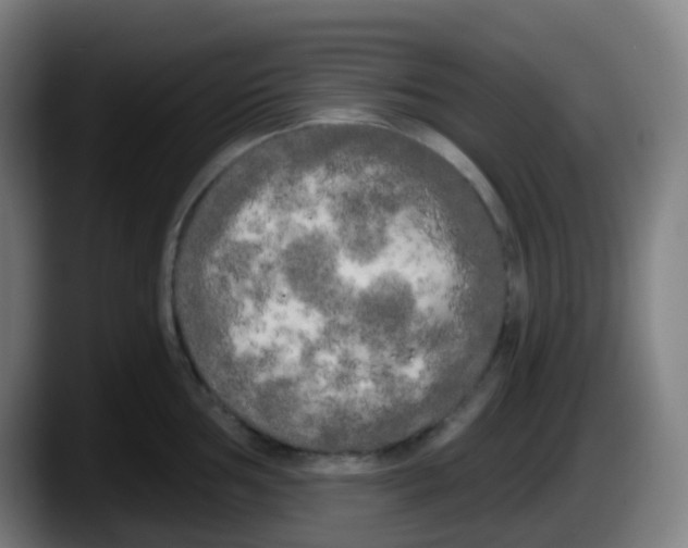 X0000087611002200705251938