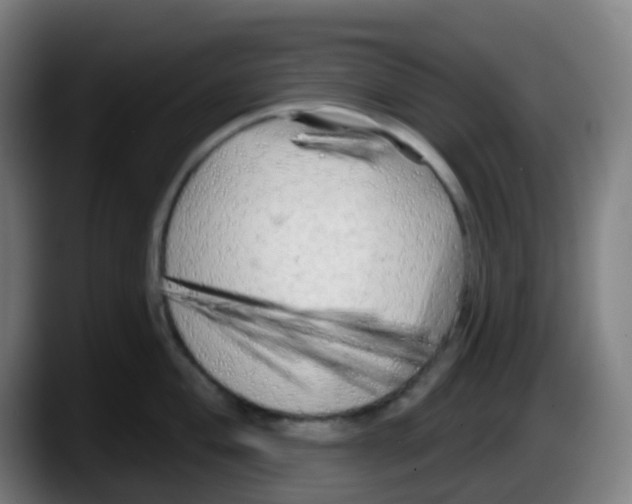 X0000087611004200705251938
