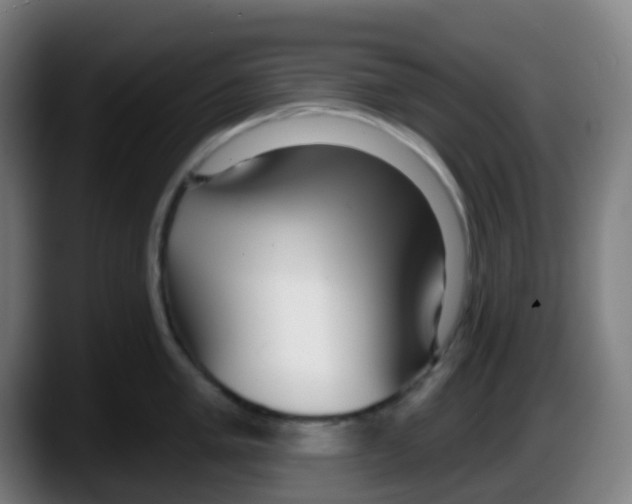 X0000087611005200705251938