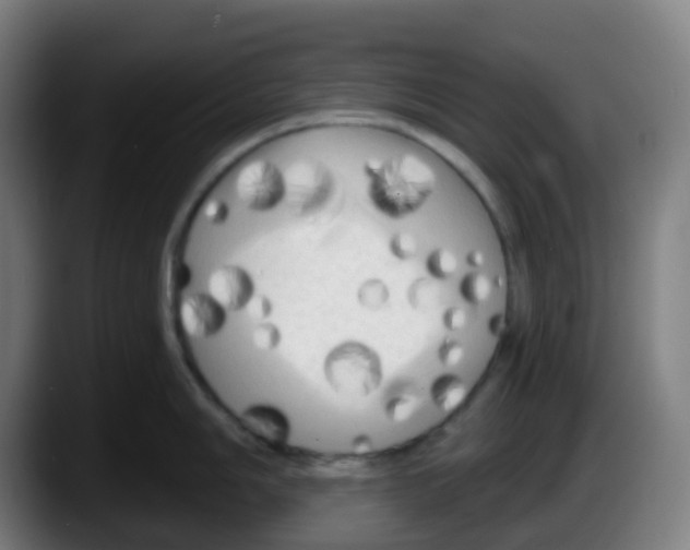 X0000087611006200705251938