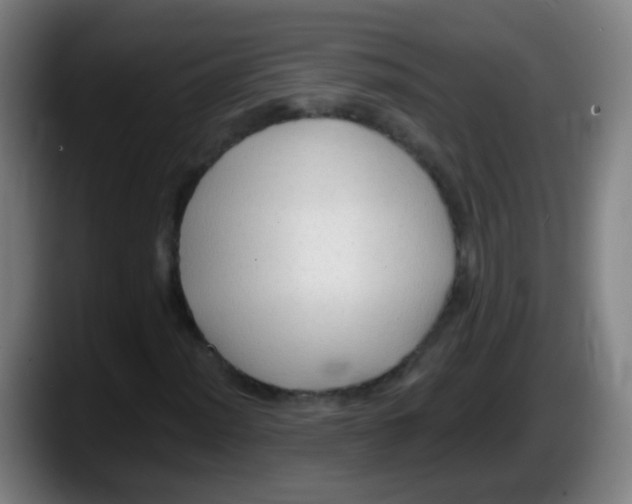 X0000087611012200705251938