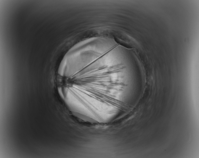 X0000087611014200705251938