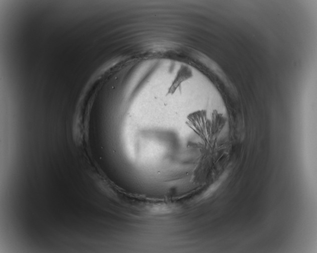 X0000087611018200705251938