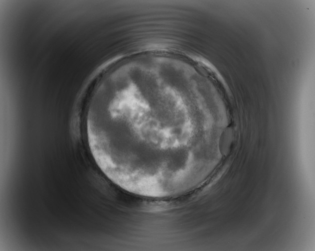 X0000087611019200705251938