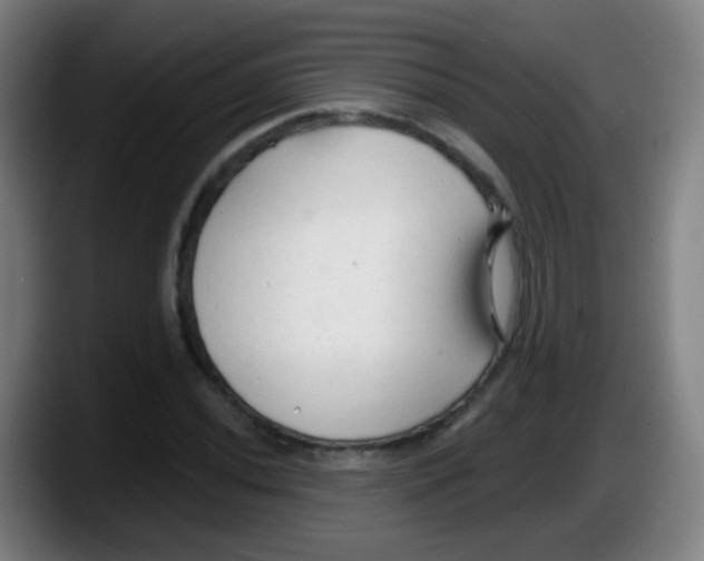 X0000087611020200705251938