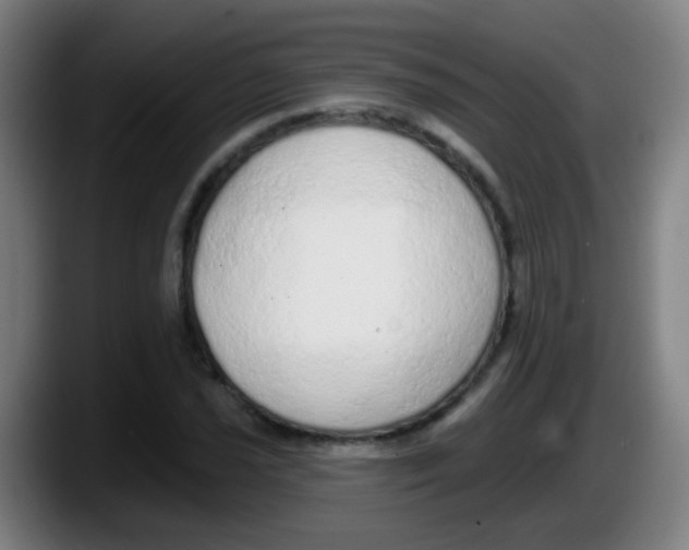 X0000087611021200705251938