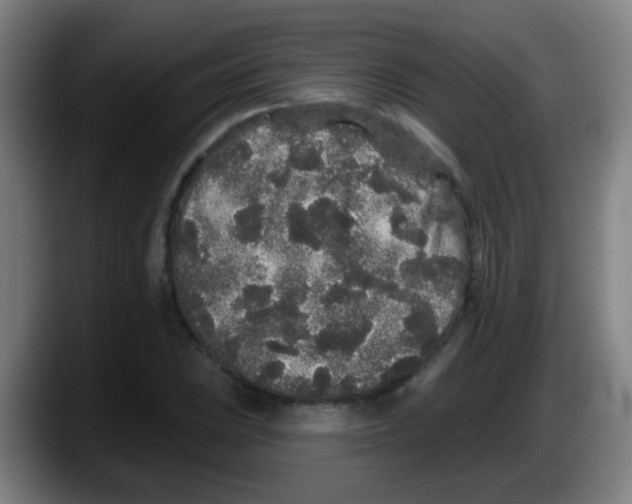 X0000087611023200705251938