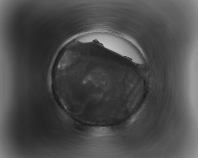 X0000087611024200705251938