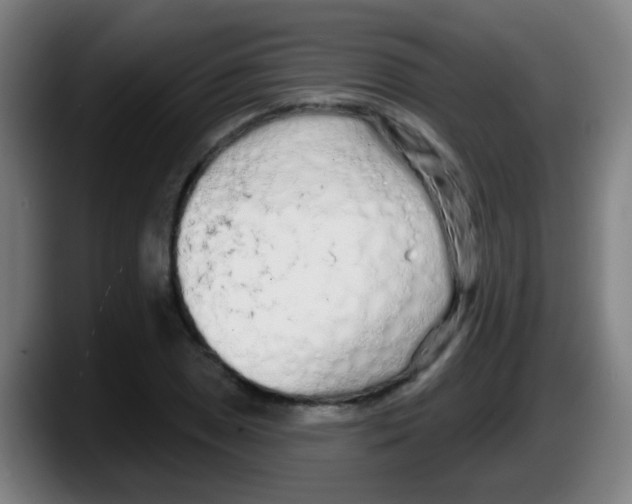 X0000087611025200705251938