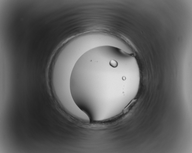 X0000087611026200705251938