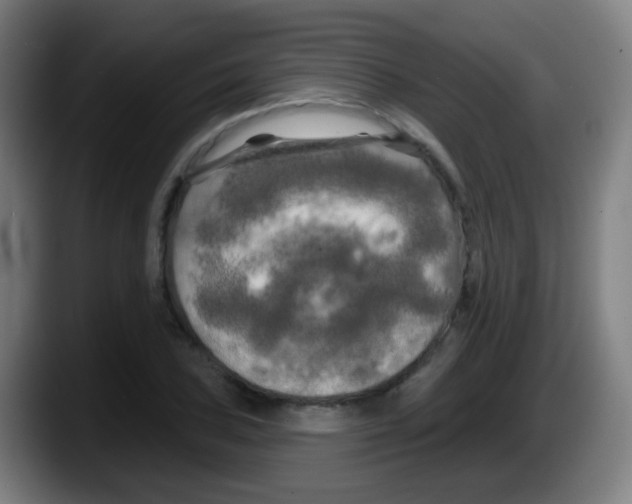 X0000087611027200705251938