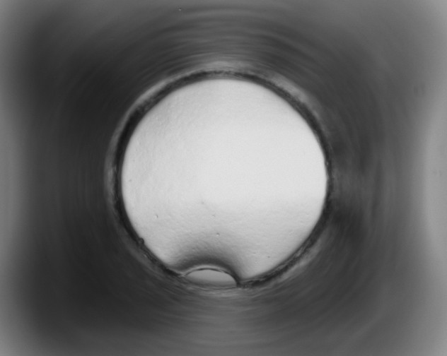 X0000087611029200705251938